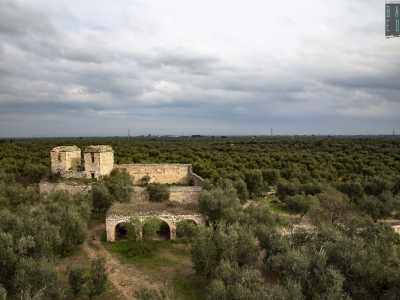 Il tutto contornato da un cielo nuvoloso che annuncia un imminente acquazzone: proprio come in quella sera del 1746, quando i tre ladri spezzarono per sempre l'armonia della masseria